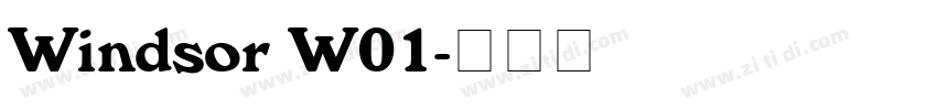 Windsor W01字体转换